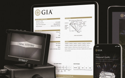 GIA випускає свій перший звіт про безпаперове досьє